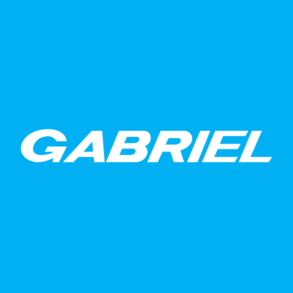 Gabriel India Ltd.